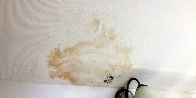 Fuite d’eau au plafond en appartement : que faire (et si ça vient du voisin) ?