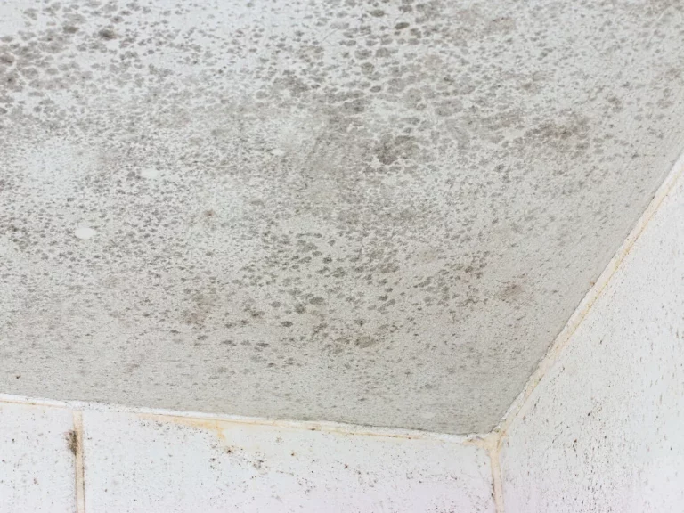 Humidité et condensation dans la salle de bain : le rôle de la VMC et les solutions